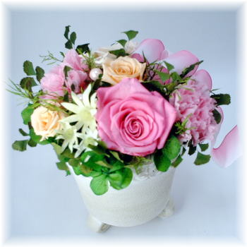 �v���U�[�u�h�t�����[�i�s���N�̃|�b�g�A�����W�j