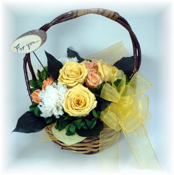�v���U�[�u�h�t�����[�i�o�X�P�b�g�A�����W�j�̊g��}