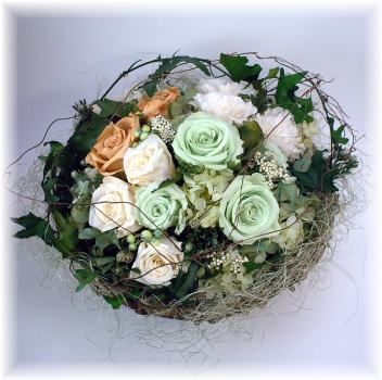 �v���U�[�u�h�t�����[�i�X�^���h�t��������̃A�����W�j�̊g��}
