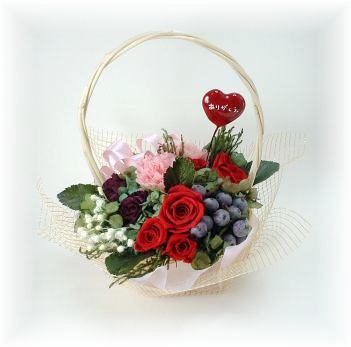 �v���U�[�u�h�t�����[�i�o���ƃJ�[�l�[�V�����j�̊g��}