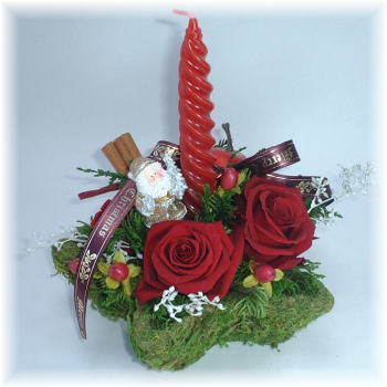 �v���U�[�u�h�t�����[�̃N���X�}�X�A�����W ���X�X�^�[