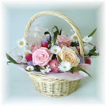 �s���N�̃o�X�P�b�g