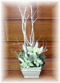 �f���h���r�E��