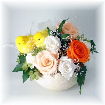 �G�b�O �v���U�[�u�h�t�����[�A�����W