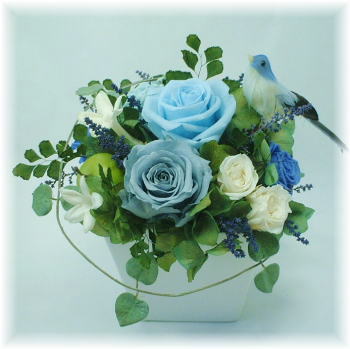 �v���U�[�u�h�t�����[�i�����̃A�����W�j�g��}