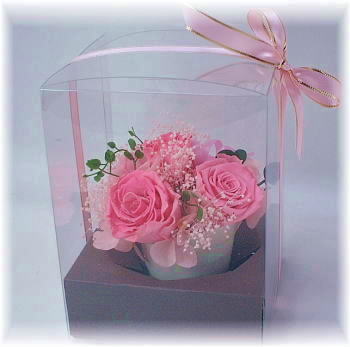 �v���U�[�u�h�t�����[ �ӂ�ӂ�s���N�E�P�[�X����