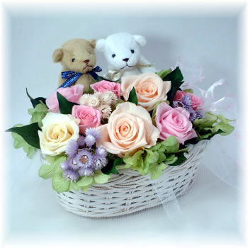 �v���U�[�u�h�t�����[�i�n�b�s�[�x�A�j