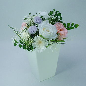 �v���U�[�u�h�t�����[�A�����W ������