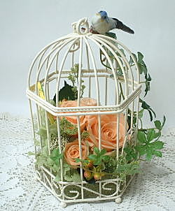 B　小鳥のフラワーアレンジ 鳥籠プリザーブドフラワーアレンジ🕊️💓 - shabbychic花工房