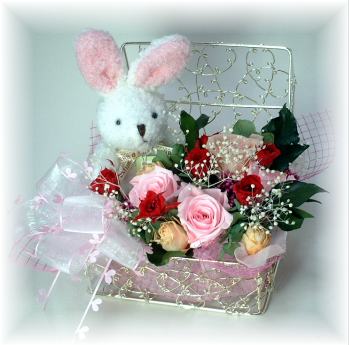�v���U�[�u�h�t�����[�̃A�����W �A���}���r�b�g