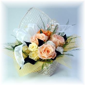 �v���U�[�u�h�t�����[�i�I�[�K���W�[�̃{�b�N�X�j�g��}